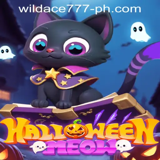 Unveiling HalloweenMeow: The Spooktacular Online Adventure